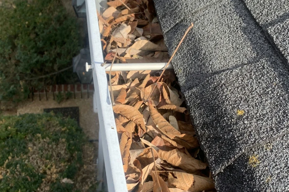 Gutter Cleaning Shallotte